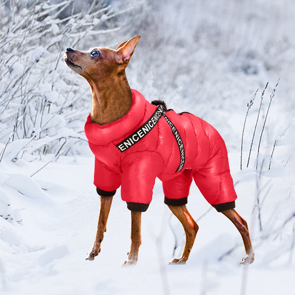 Combinaison d'Hiver "Super Warm" pour Chien – Veste Imperméable Intégrale
