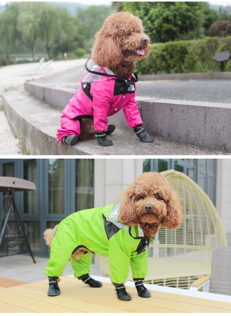 Imperméable "The Dog Face" – Veste Waterproof et Coupe-vent pour Chien