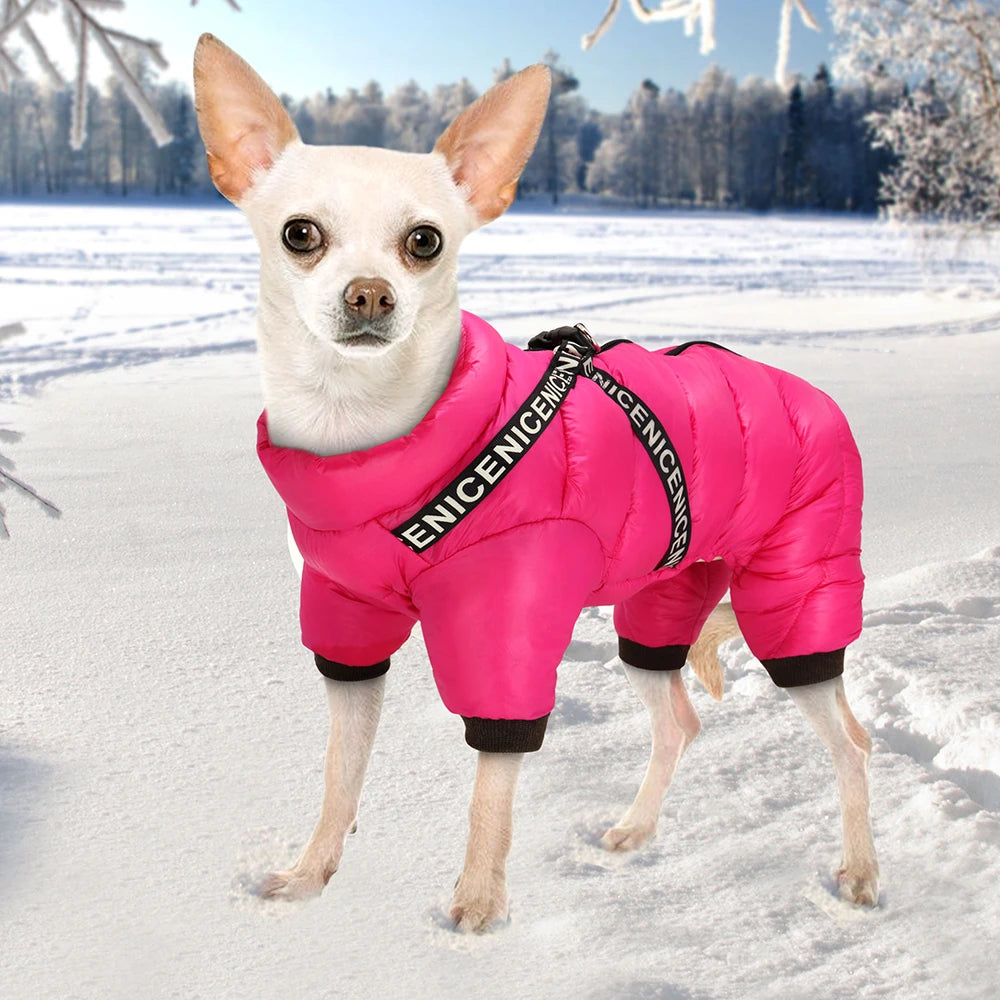 Combinaison d'Hiver "Super Warm" pour Chien – Veste Imperméable Intégrale
