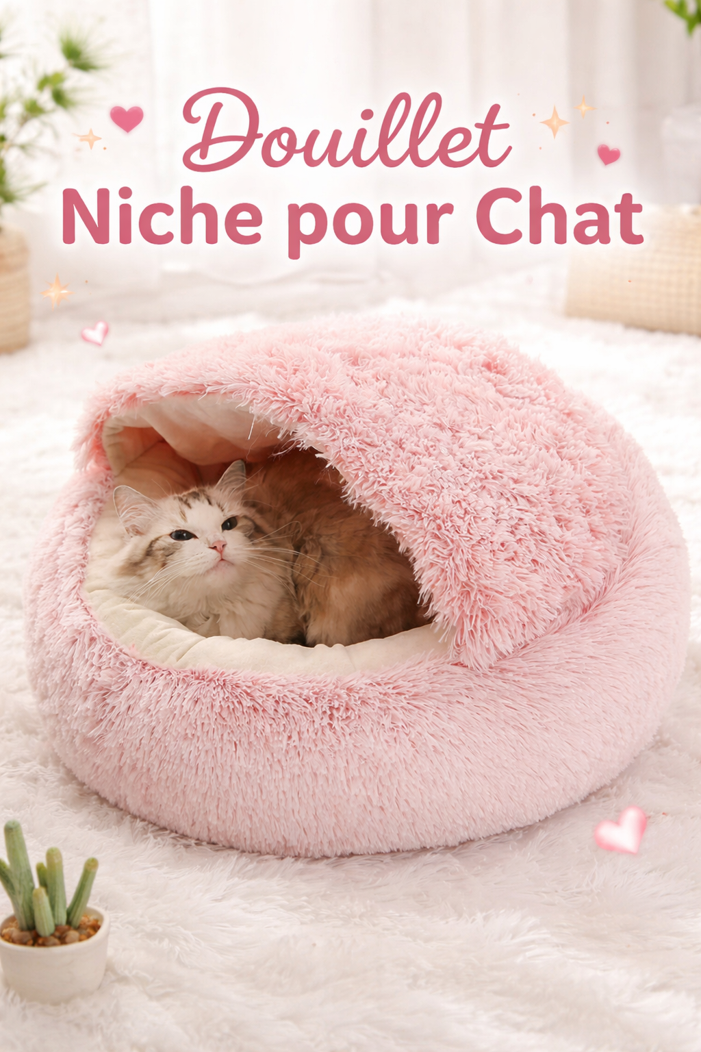 Le Premium : Sofa Royal Auto-Chauffant
