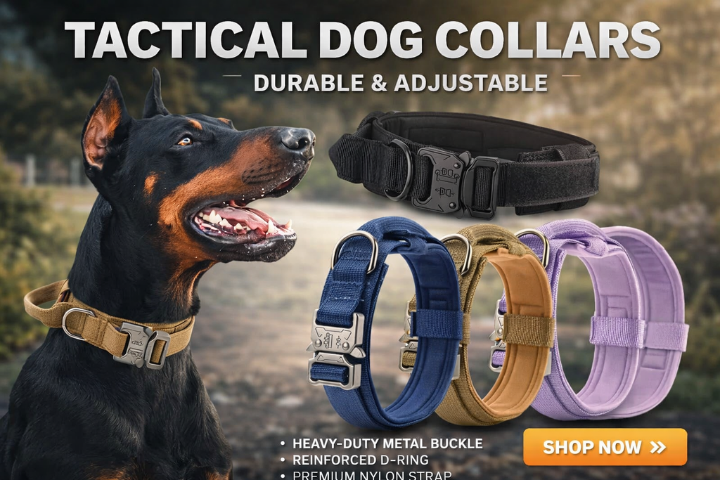 Collier Tactique Style Sport pour Chien – Modèle Robuste avec Poignée de Traction