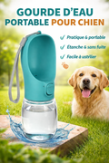 Gourde Portable Grande Capacité : Hydratation pour Chiens de Toutes Tailles