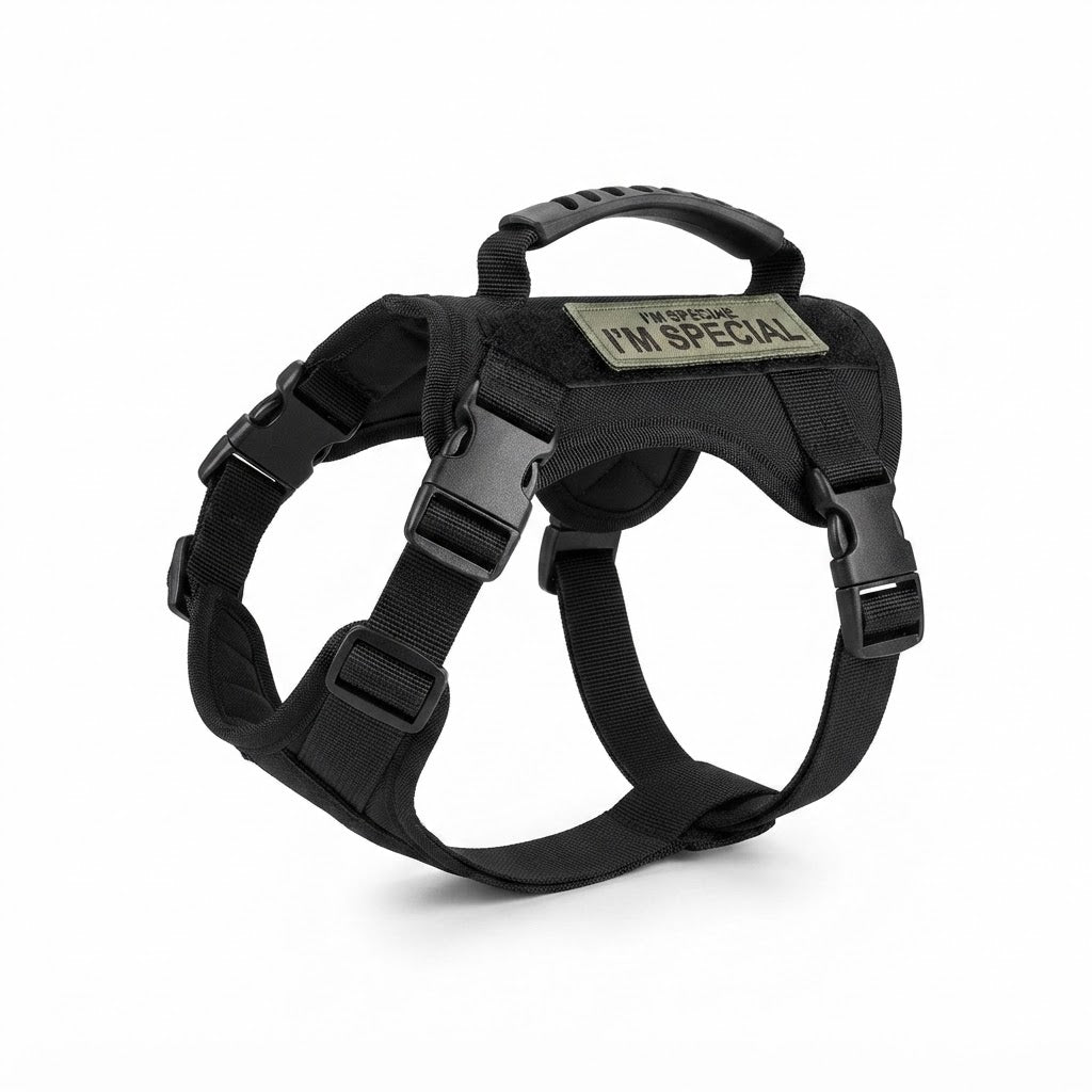 Harnais Tactique Ajustable