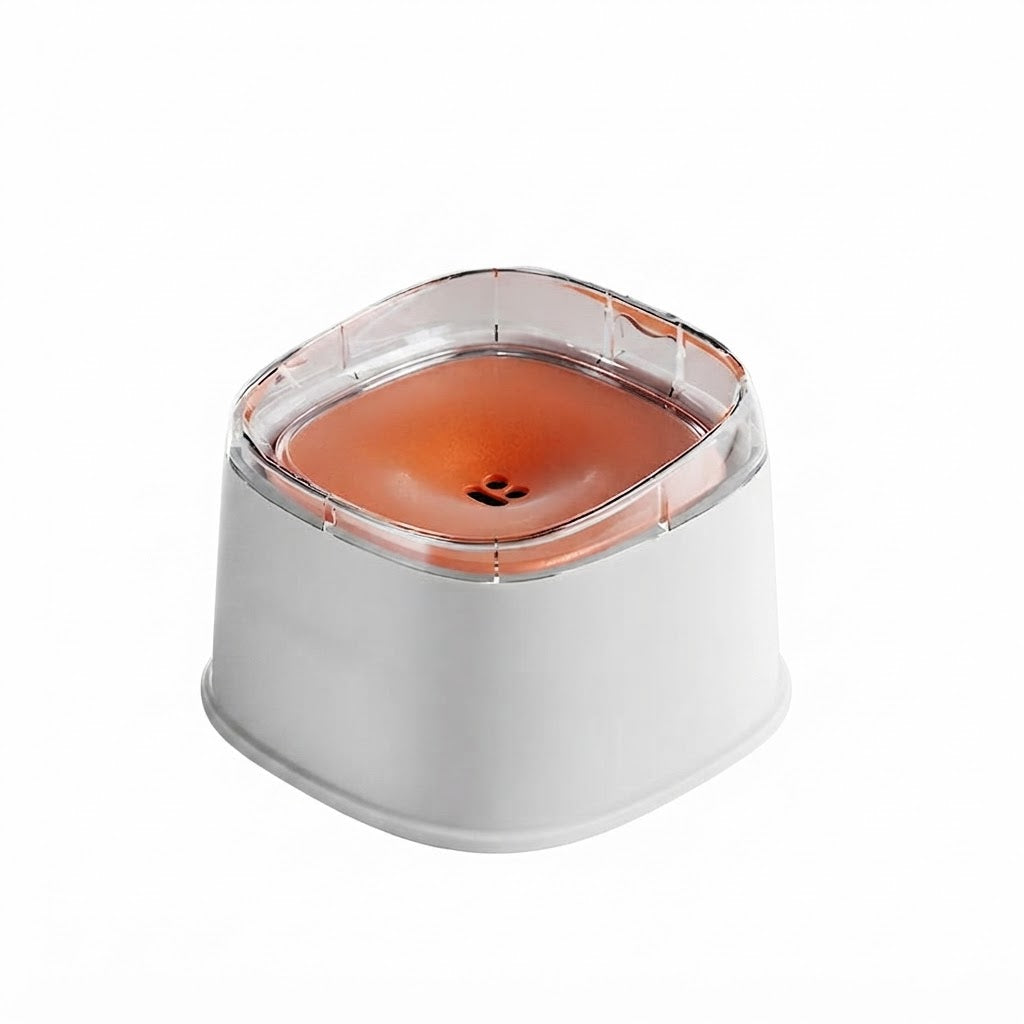 Bol d'Eau Anti-Éclaboussures