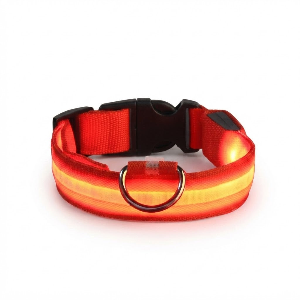 Collier LED Lumineux pour Chien – Nylon Réfléchissant, Sécurité, Clignotant & Fluorescent
