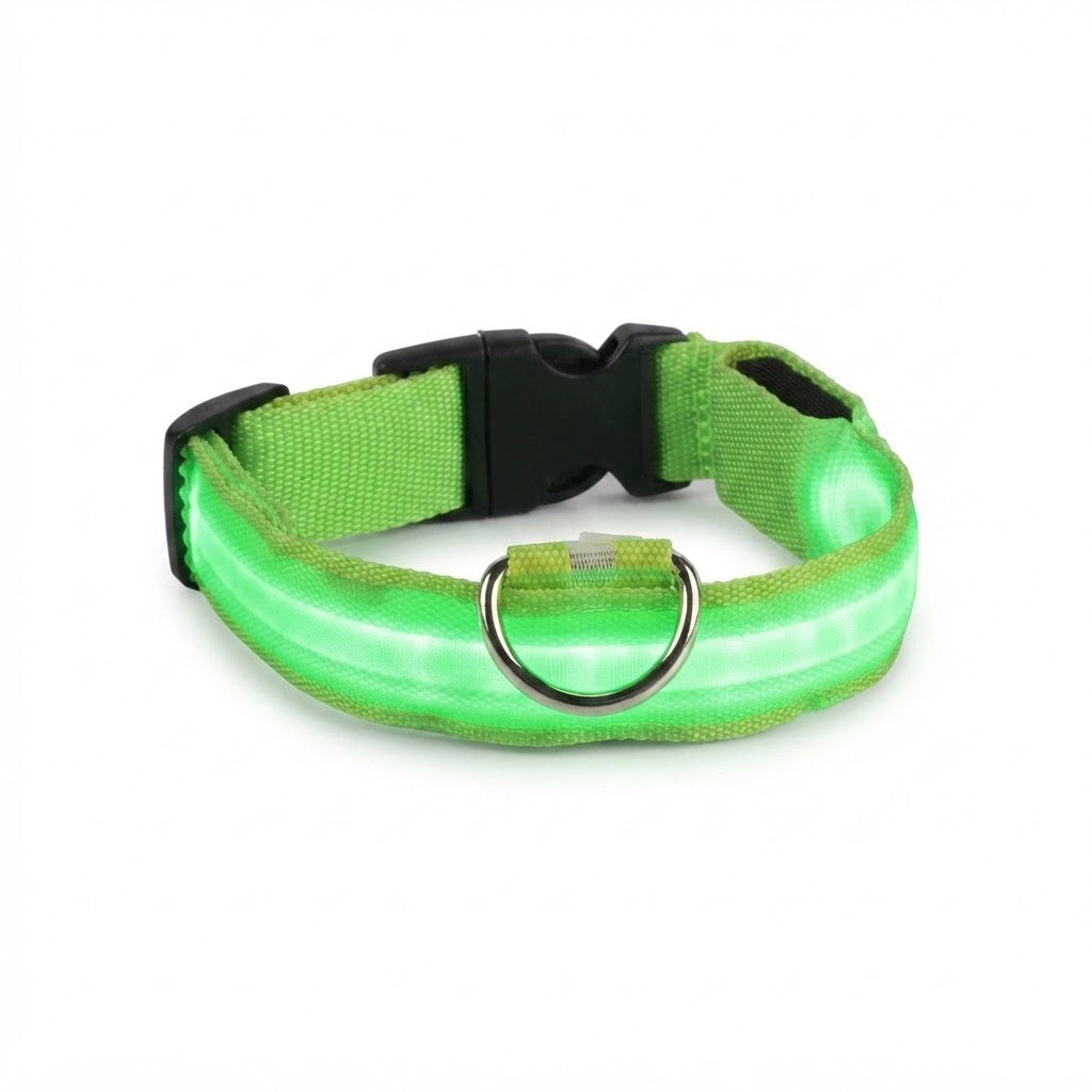 Collier LED Lumineux pour Chien – Nylon Réfléchissant, Sécurité, Clignotant & Fluorescent