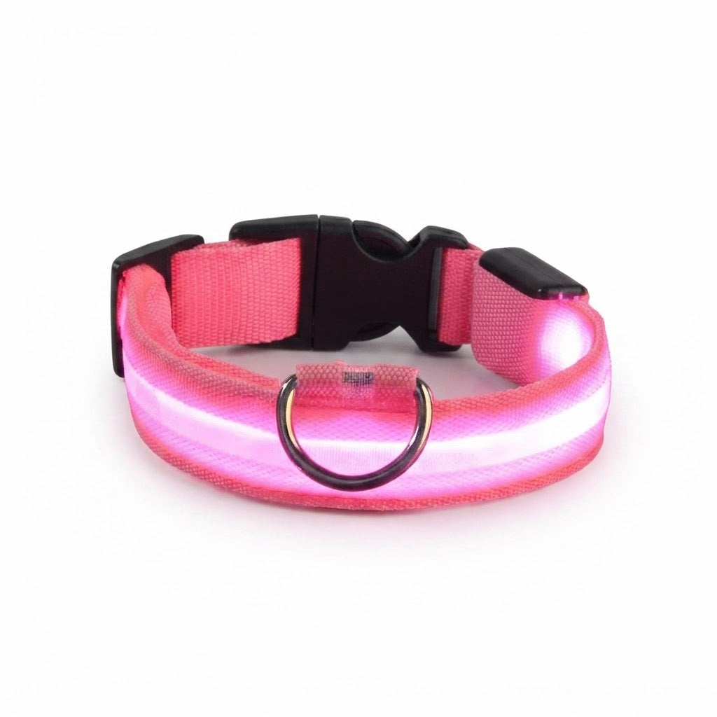 Collier LED Lumineux pour Chien – Nylon Réfléchissant, Sécurité, Clignotant & Fluorescent