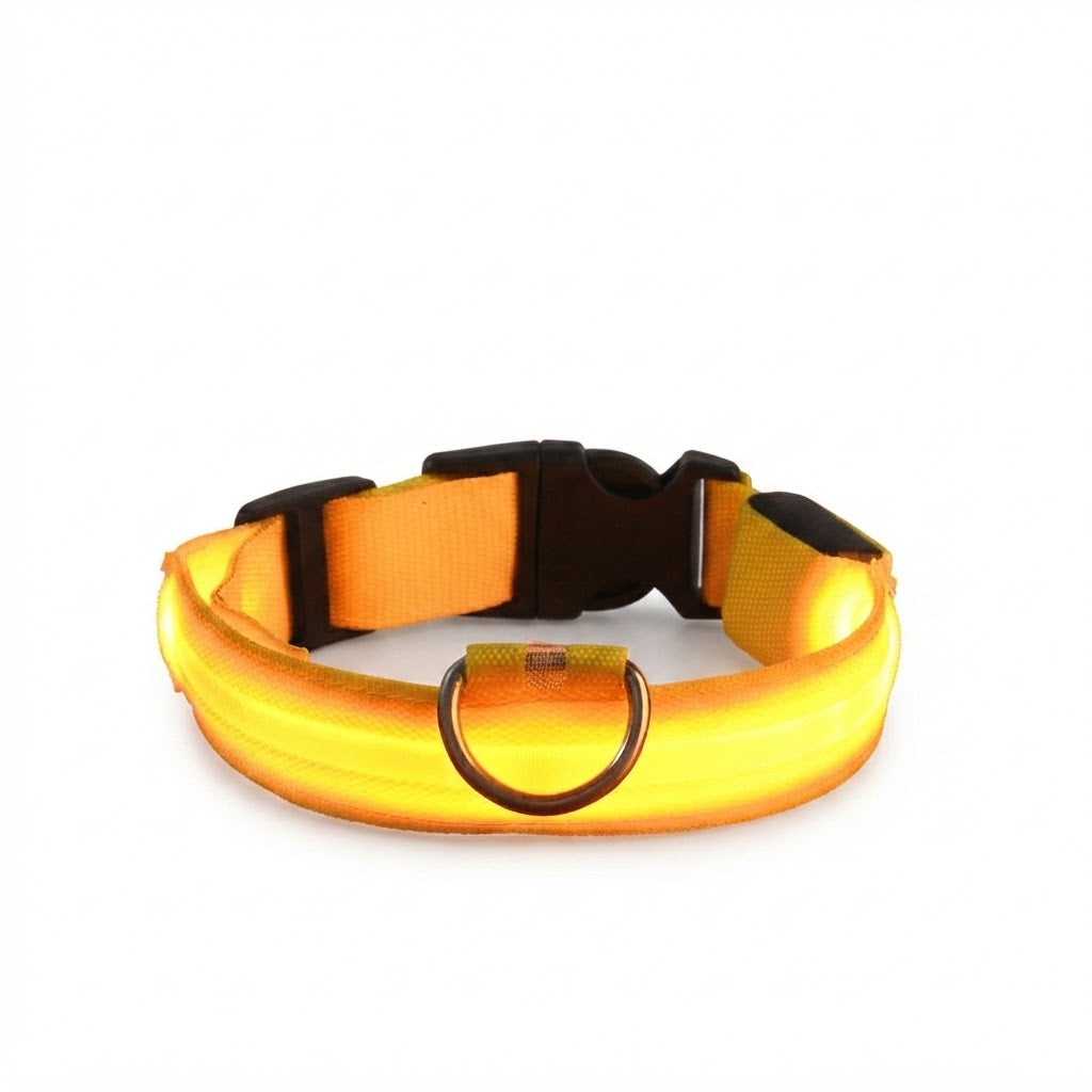 Collier LED Lumineux pour Chien – Nylon Réfléchissant, Sécurité, Clignotant & Fluorescent