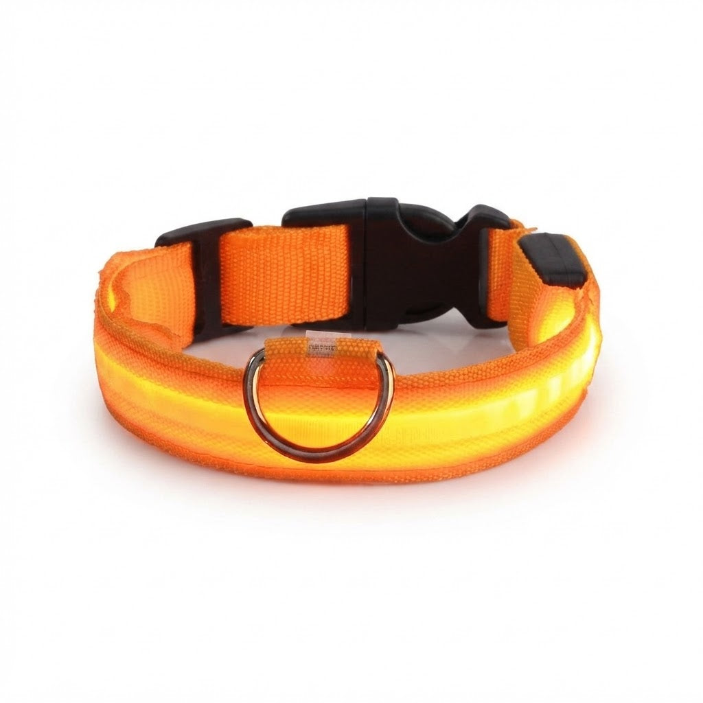 Collier LED Lumineux pour Chien – Nylon Réfléchissant, Sécurité, Clignotant & Fluorescent