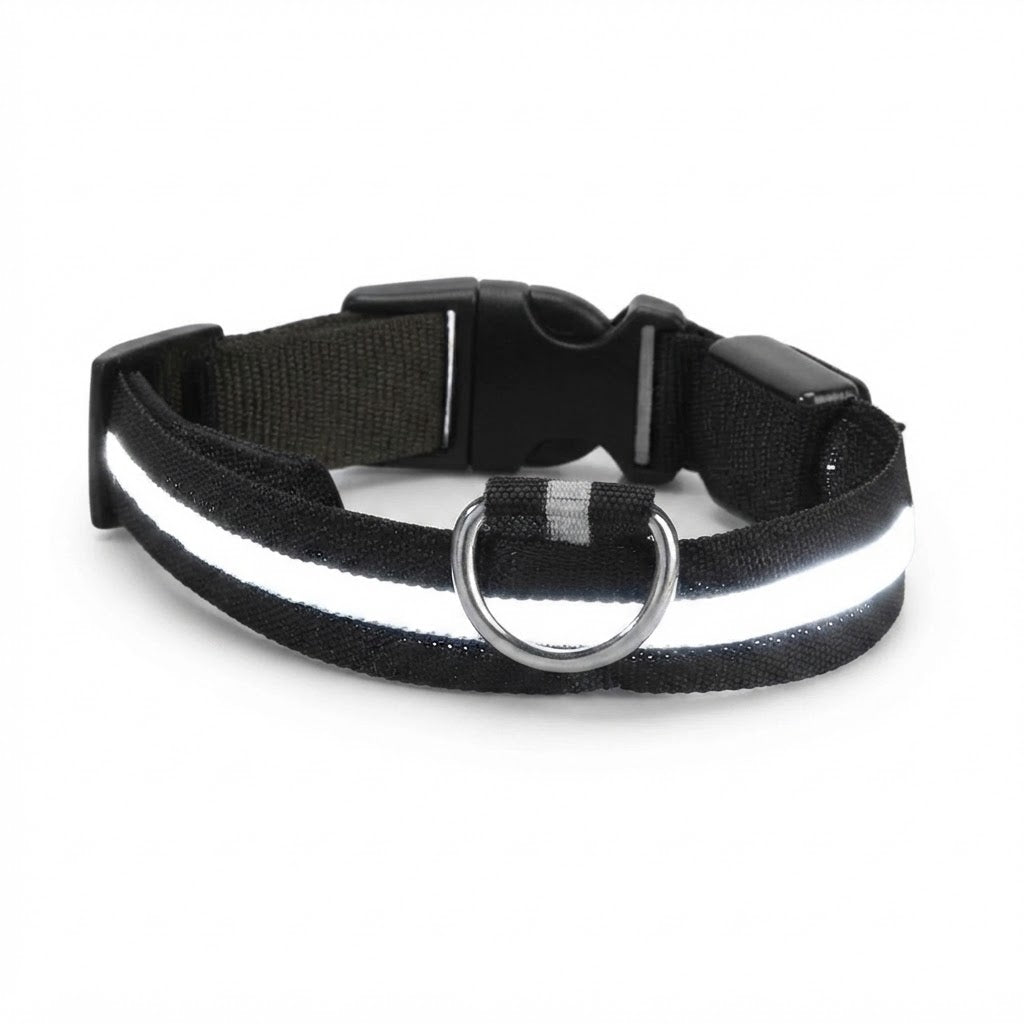 Collier LED Lumineux pour Chien – Nylon Réfléchissant, Sécurité, Clignotant & Fluorescent