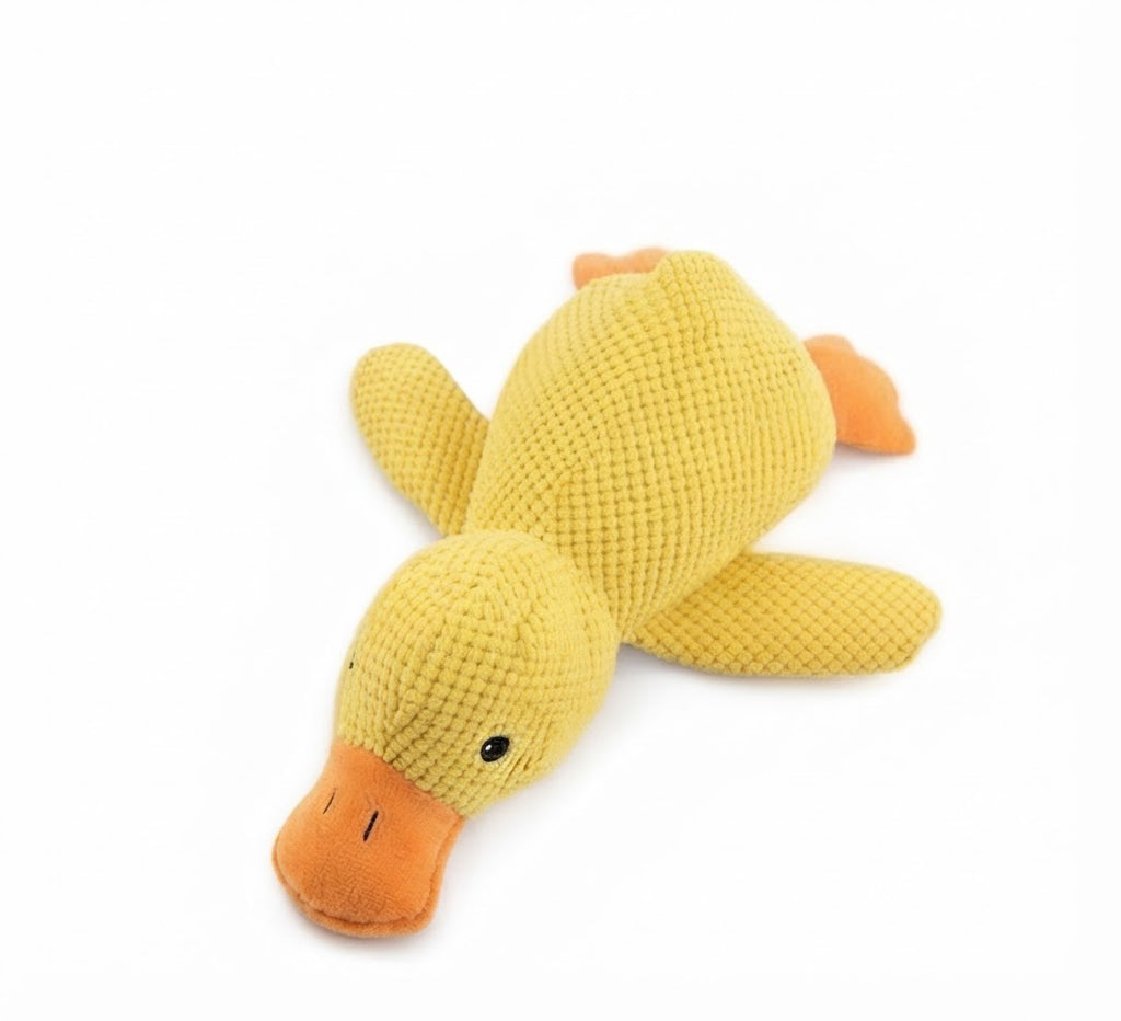 Jouet en Peluche pour Chien : Compagnon