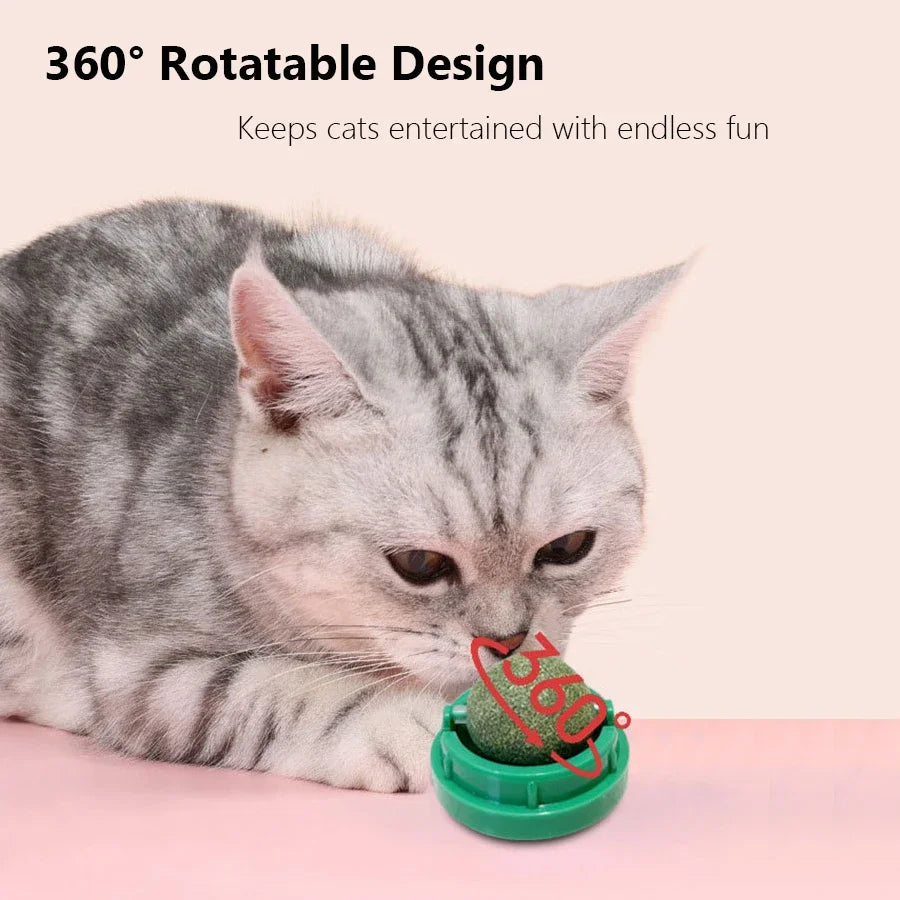 Boule de Cataire Rotative : Soin Dentaire et Divertissement Interactif