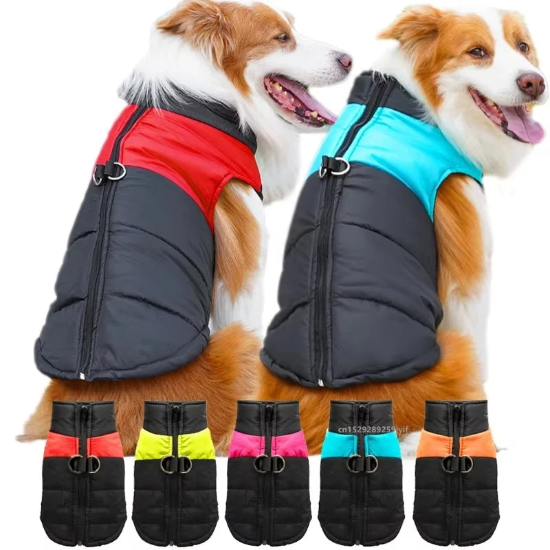 Veste d'Hiver Matelassée pour Chien – Imperméable, Chaude et Zippée