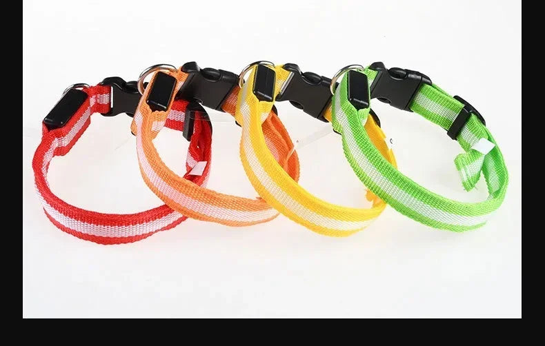 Collier LED Lumineux pour Chien – Nylon Réfléchissant, Sécurité, Clignotant & Fluorescent