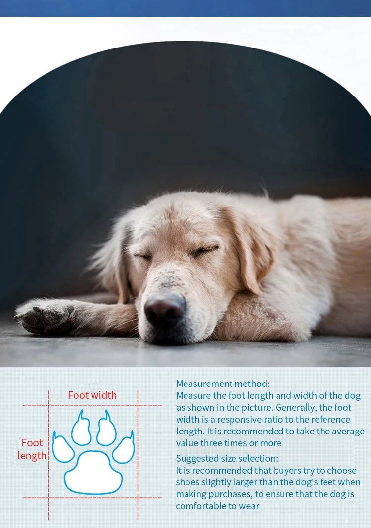 Bottines Imperméables et Antidérapantes pour Petits Chiens et Chats
