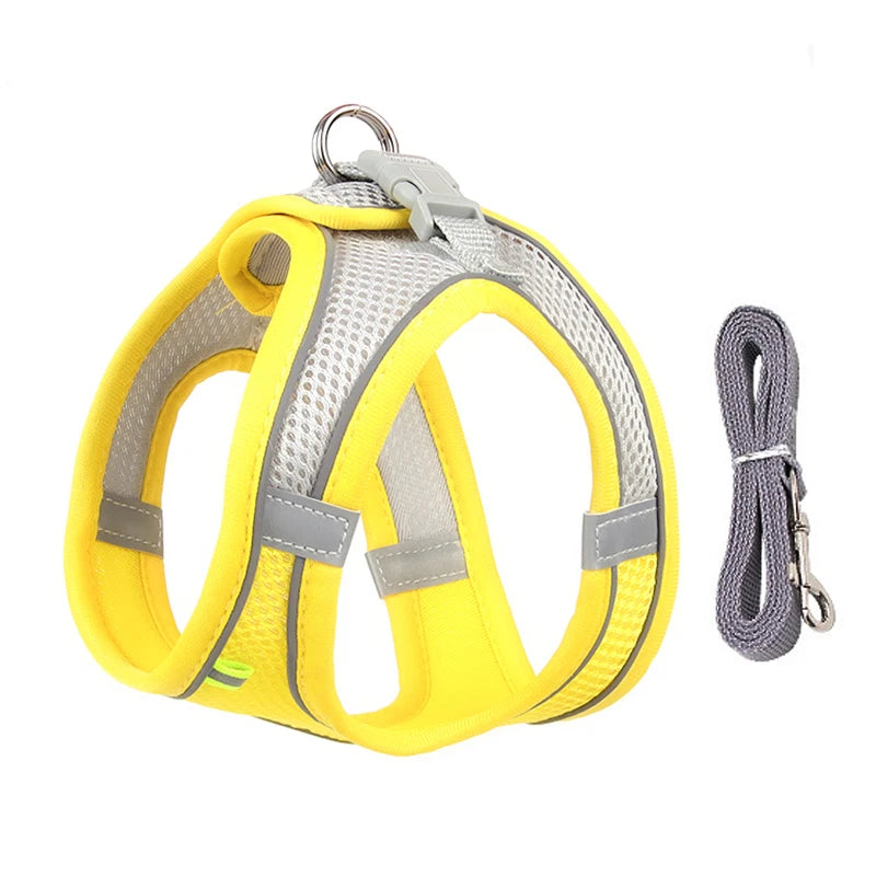 Harnais + Laisse Ajustable pour Petit Chien – Gilet Respirant Réfléchissant, Confort & Sécurité.
