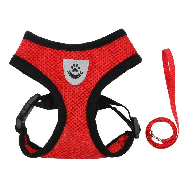 Harnais Veste Anti-Évasion avec Laisse pour Chat et Chaton – Confort Ergonomique & Sécurité Maximale
