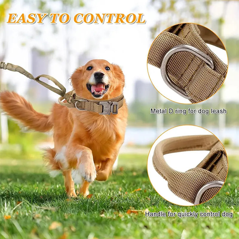 Collier Tactique Style Sport pour Chien – Modèle Robuste avec Poignée de Traction