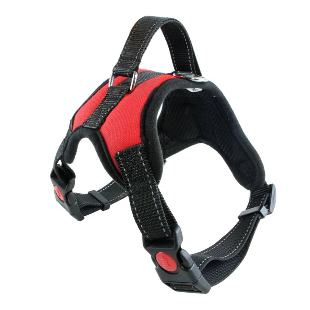 Harnais Veste Confort pour Chien