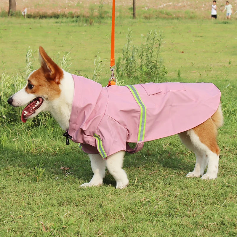 Imperméable Style "Cape" pour Chien – Coupe-vent Réfléchissant avec Capuche