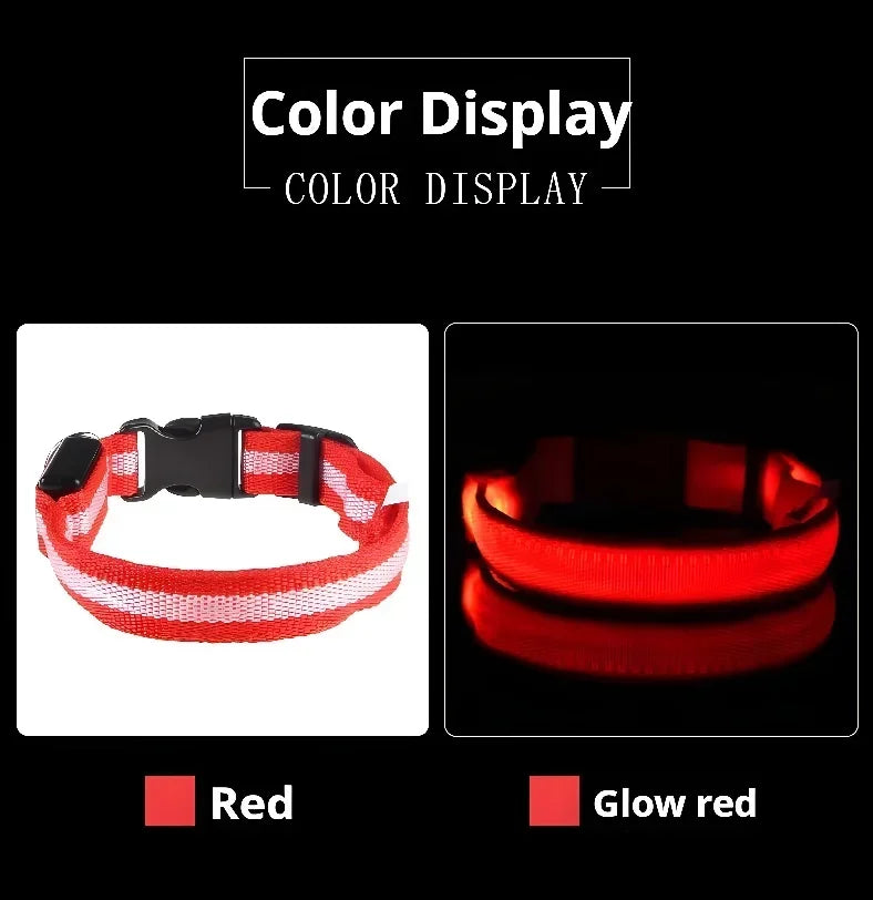 Collier LED Lumineux pour Chien – Nylon Réfléchissant, Sécurité, Clignotant & Fluorescent