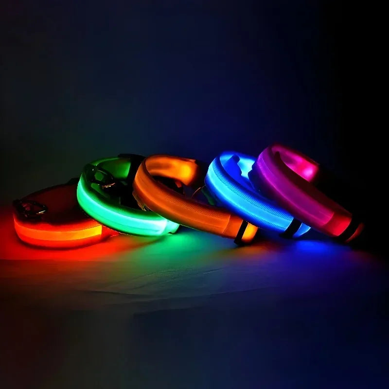 Collier LED Lumineux pour Chien – Nylon Réfléchissant, Sécurité, Clignotant & Fluorescent