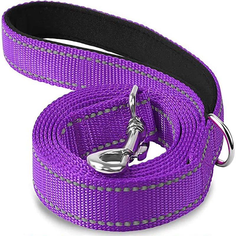 Laisse Réfléchissante pour Chien et Chat - Corde de Traction Robuste - Idéal Promenade, Dressage et Sécurité Nocturne