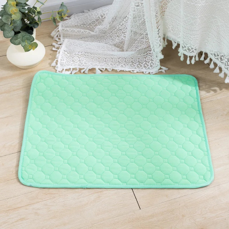 Tapis d'Entraînement Lavable et Réutilisable pour Chiens | Absorbant & Imperméable