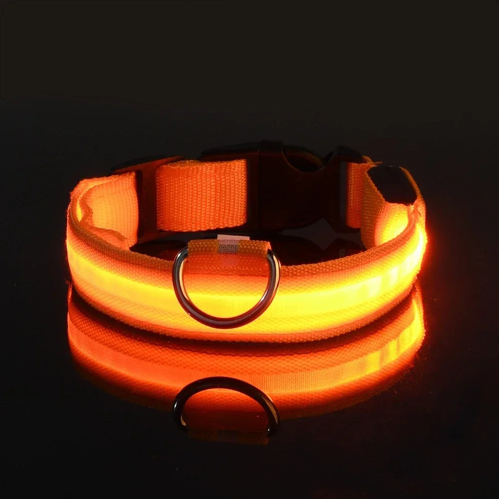 Collier LED Lumineux pour Chien – Nylon Réfléchissant, Sécurité, Clignotant & Fluorescent