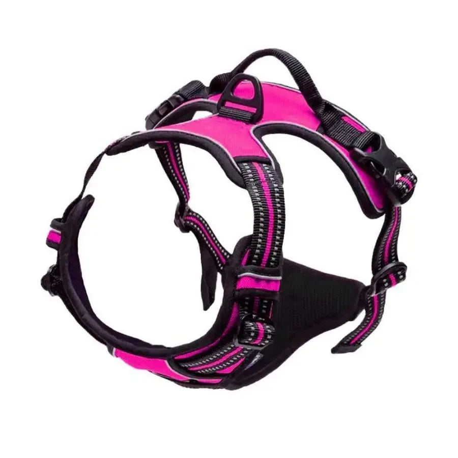 Ensemble Collier, Harnais et Laisse pour Chien – Accessoires Complets pour Petit et Moyen Chien