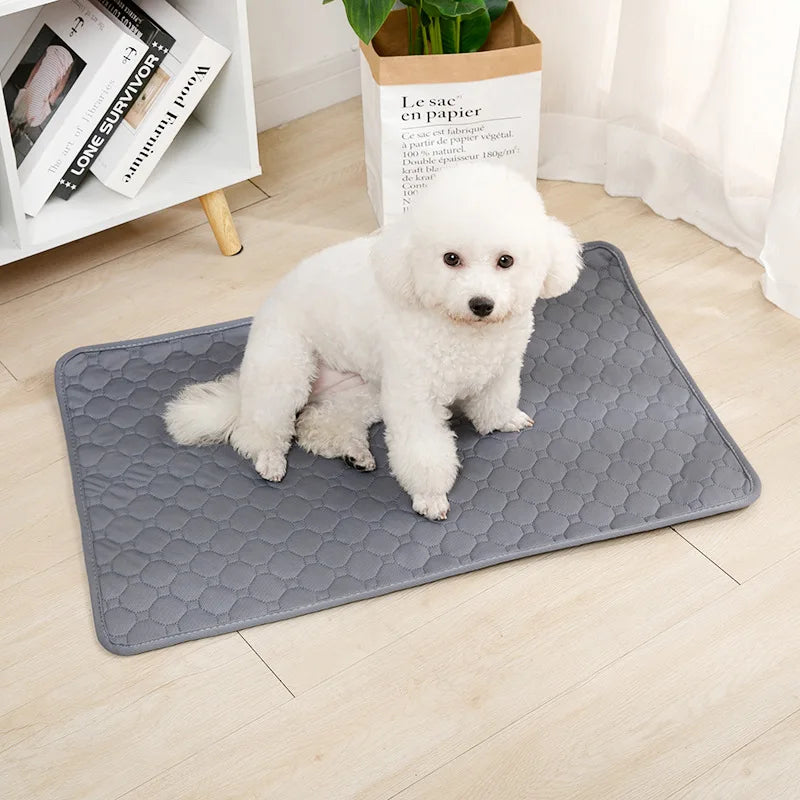 Tapis d'Entraînement Lavable et Réutilisable pour Chiens | Absorbant & Imperméable