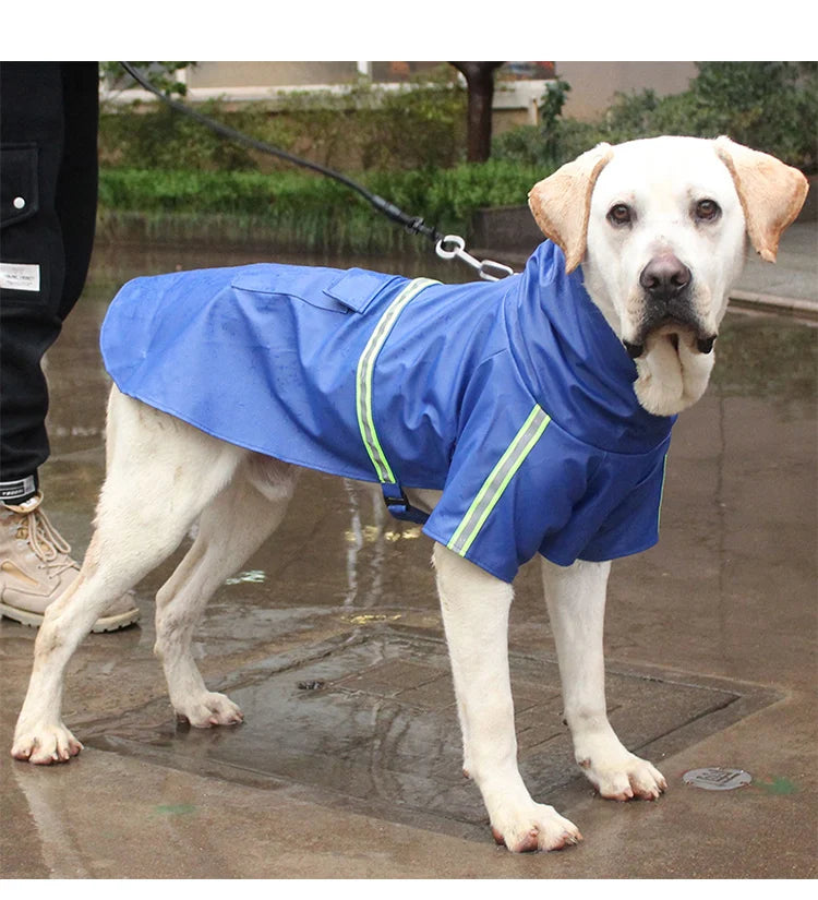 Imperméable Style "Cape" pour Chien – Coupe-vent Réfléchissant avec Capuche