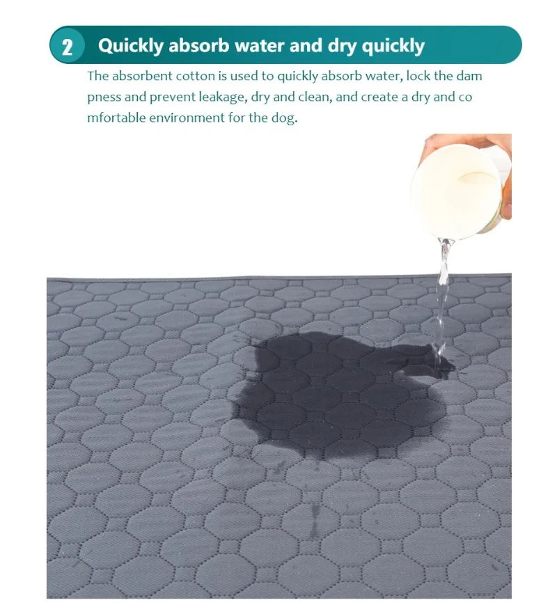 Tapis d'Entraînement Lavable et Réutilisable pour Chiens | Absorbant & Imperméable