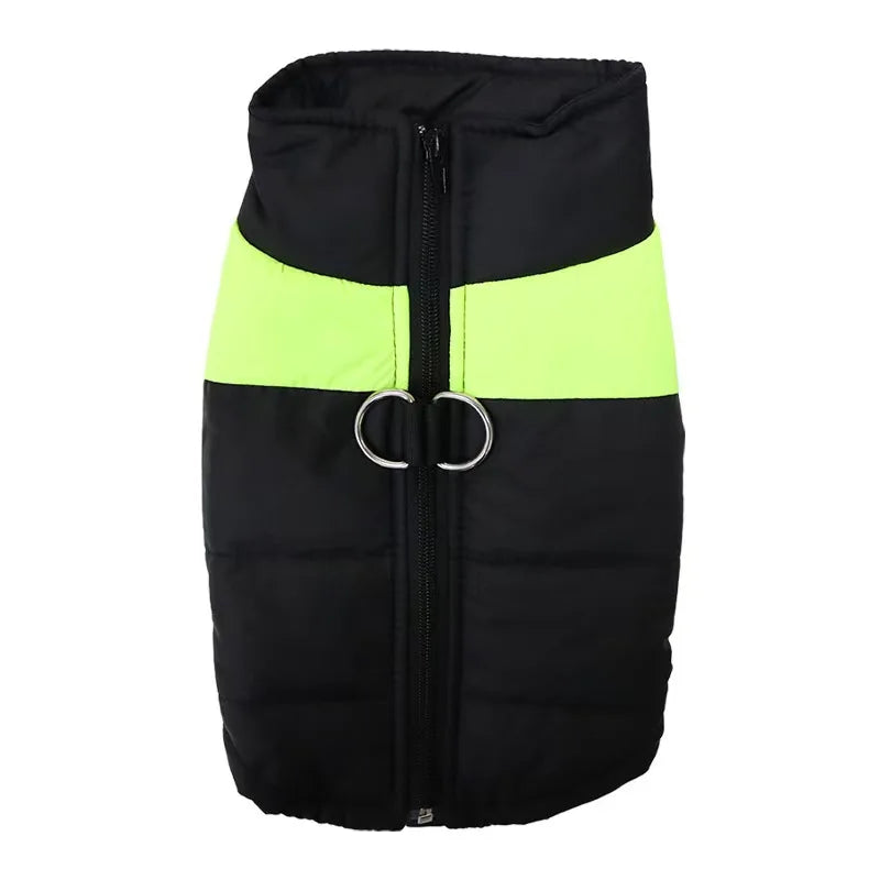 Veste d'Hiver Matelassée pour Chien – Imperméable, Chaude et Zippée