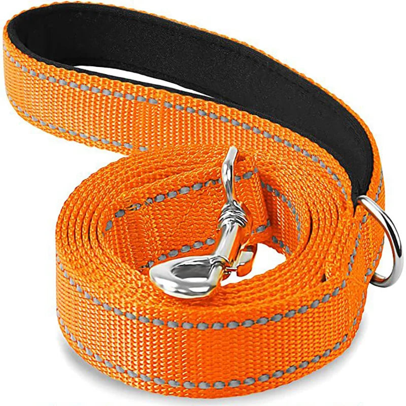 Laisse Réfléchissante pour Chien et Chat - Corde de Traction Robuste - Idéal Promenade, Dressage et Sécurité Nocturne