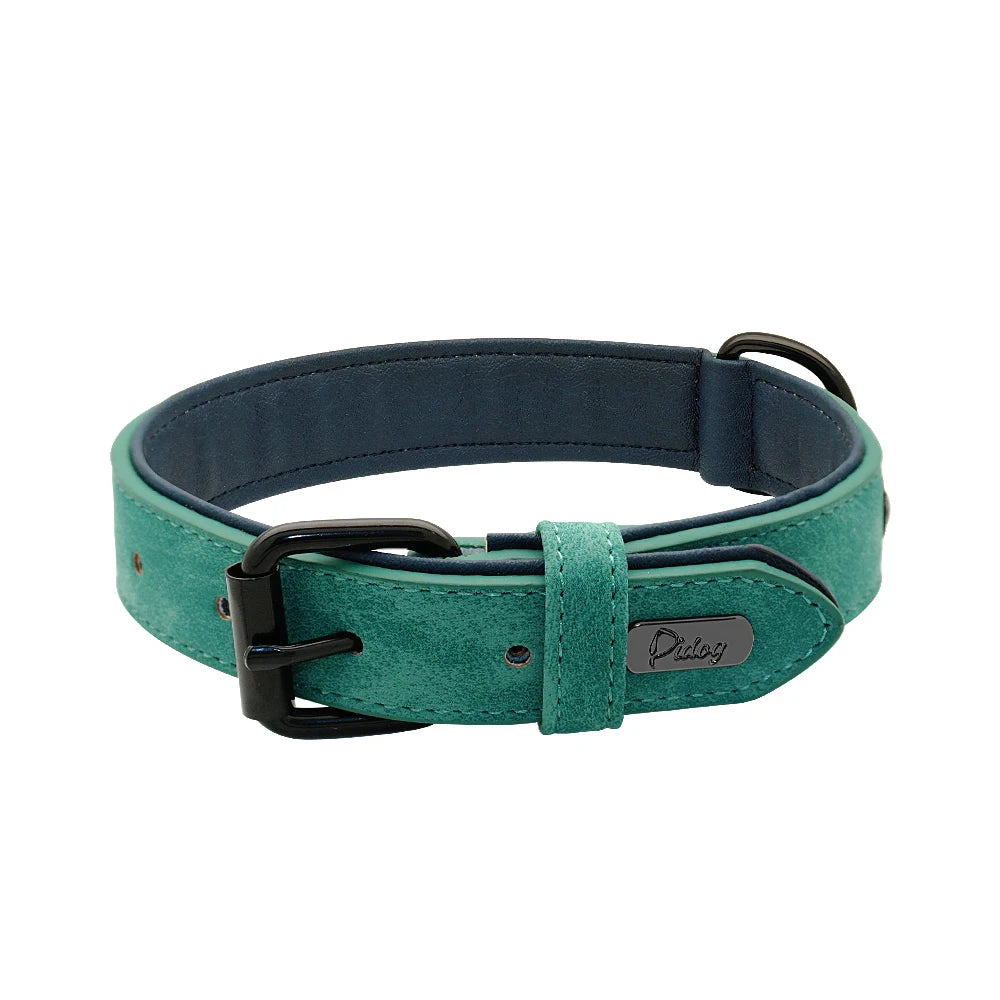 Collier en Cuir Rembourré pour Chien – Confort Premium –