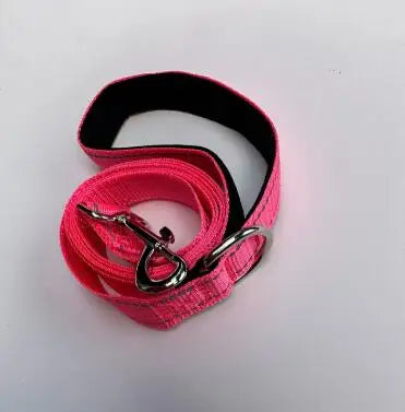 Laisse Réfléchissante pour Chien et Chat - Corde de Traction Robuste - Idéal Promenade, Dressage et Sécurité Nocturne