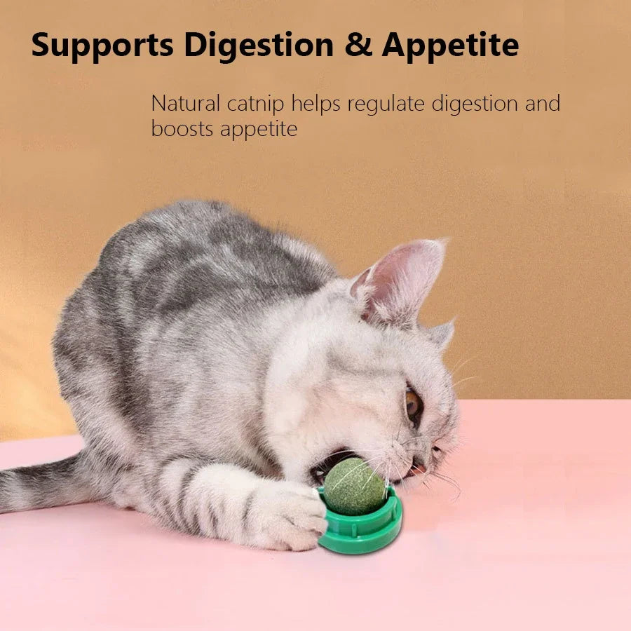 Boule de Cataire Rotative : Soin Dentaire et Divertissement Interactif