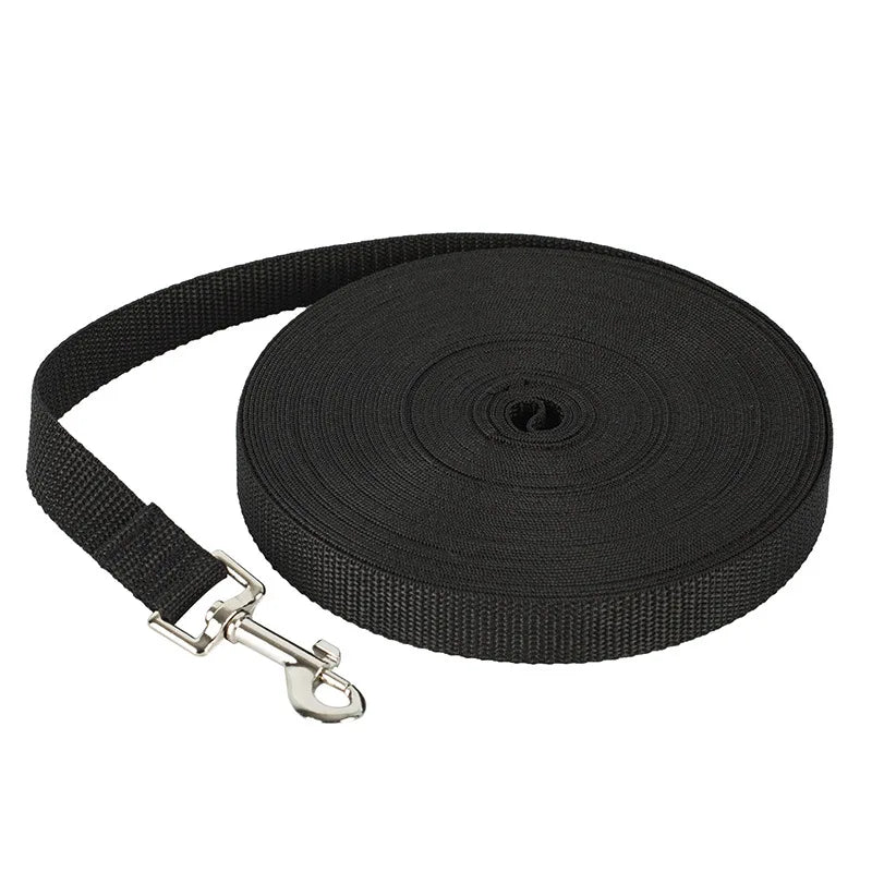 Laisse en Nylon pour Chien et Chat - Multi-Longueurs - Idéale pour Marche, Course et Dressage - Pour Petits et Moyens Animaux