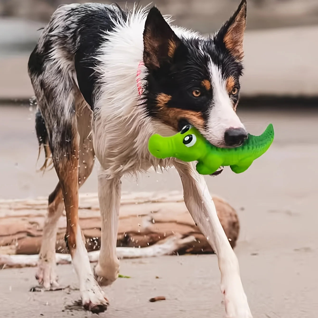 Crocodile Sonore en Caoutchouc : Jouet de Mastication Durable et Interactif