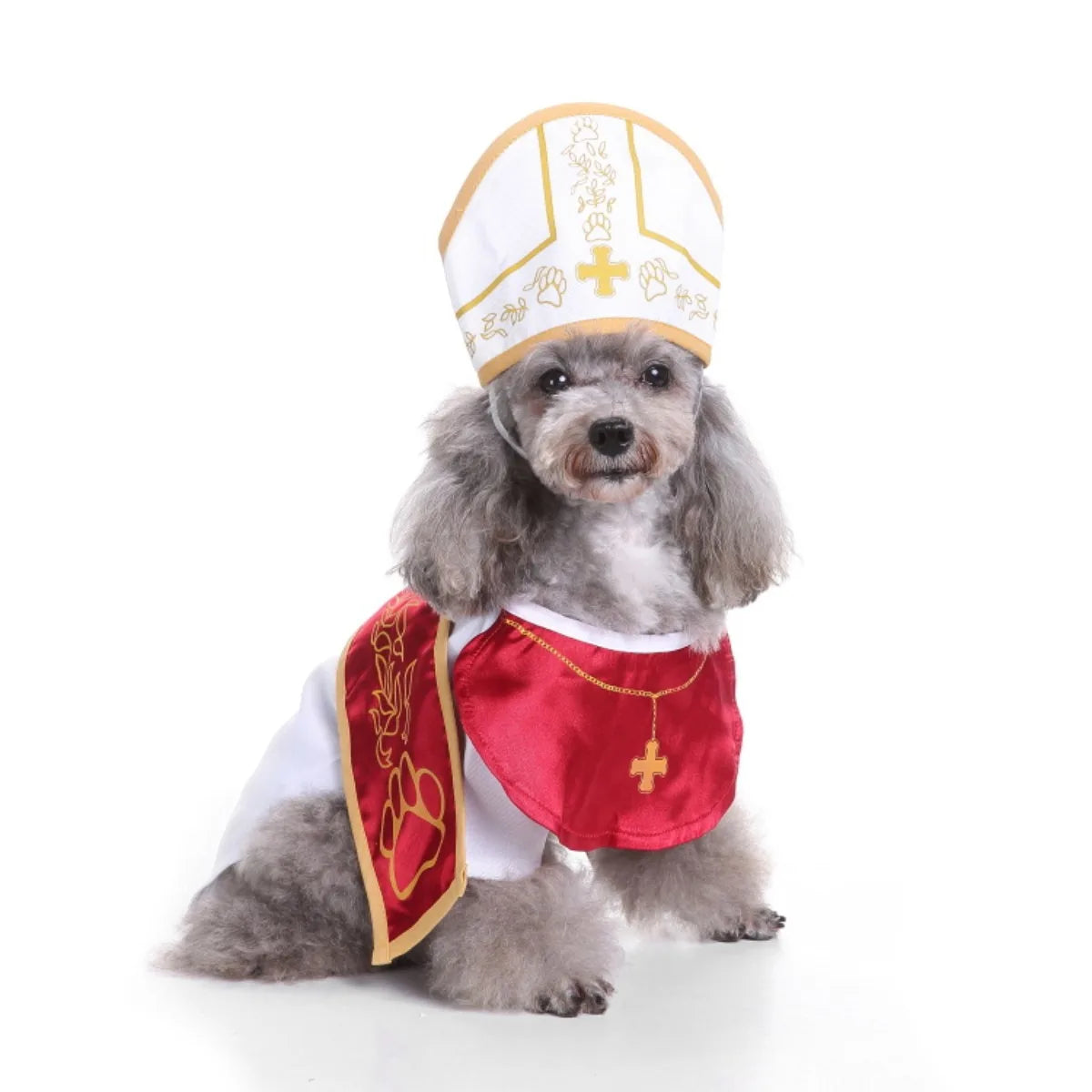 Costume de Pape pour Chien & Chat
