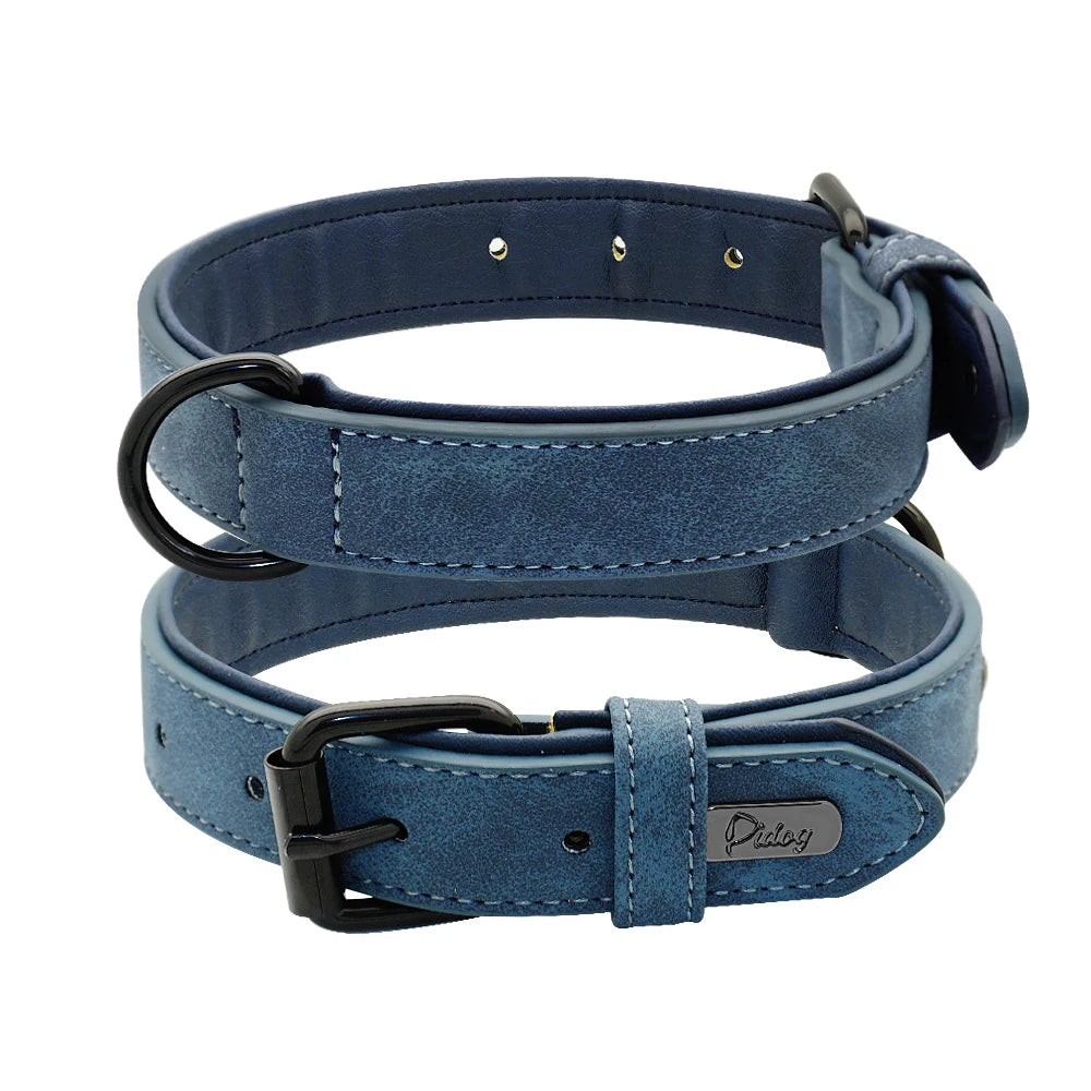 Collier en Cuir Rembourré pour Chien – Confort Premium –