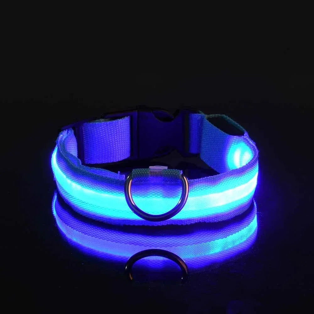 Collier LED Lumineux pour Chien – Nylon Réfléchissant, Sécurité, Clignotant & Fluorescent