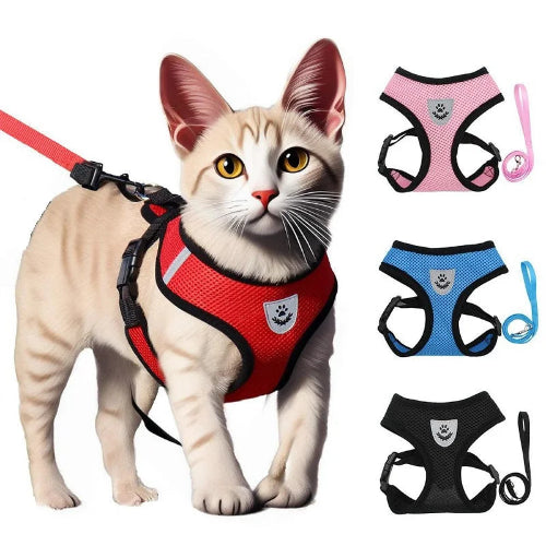 Harnais Veste Anti-Évasion avec Laisse pour Chat et Chaton – Confort Ergonomique & Sécurité Maximale