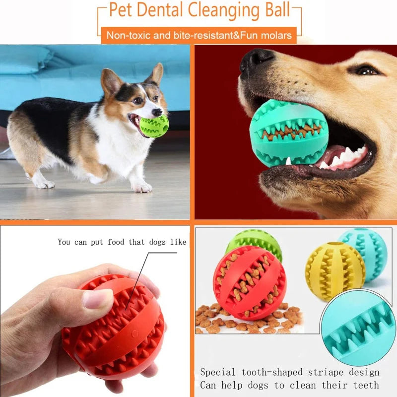 Balle Interactive en Caoutchouc pour Chiens et Chats – Distributeur de Friandises et Nettoyage Dentaire