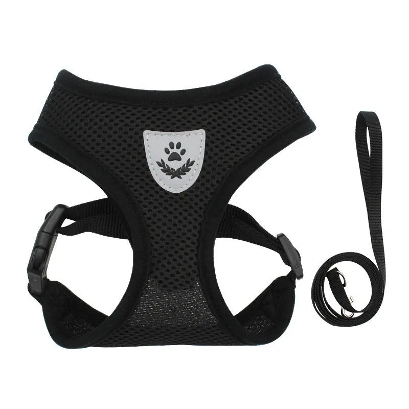Harnais Veste Anti-Évasion avec Laisse pour Chat et Chaton – Confort Ergonomique & Sécurité Maximale