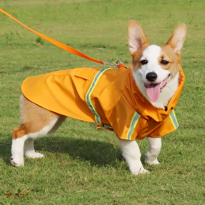 Imperméable Style "Cape" pour Chien – Coupe-vent Réfléchissant avec Capuche