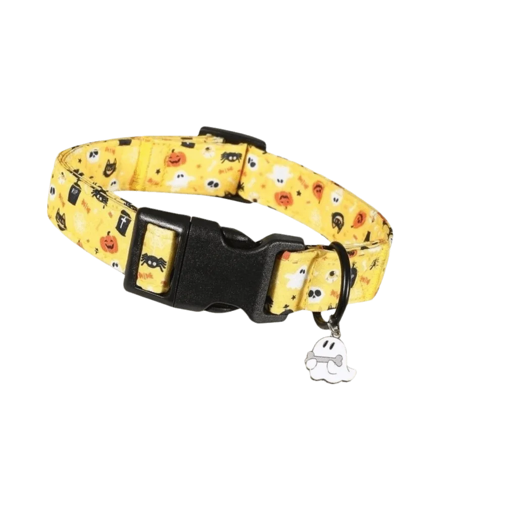 Collier Halloween pour Chat avec Clochette