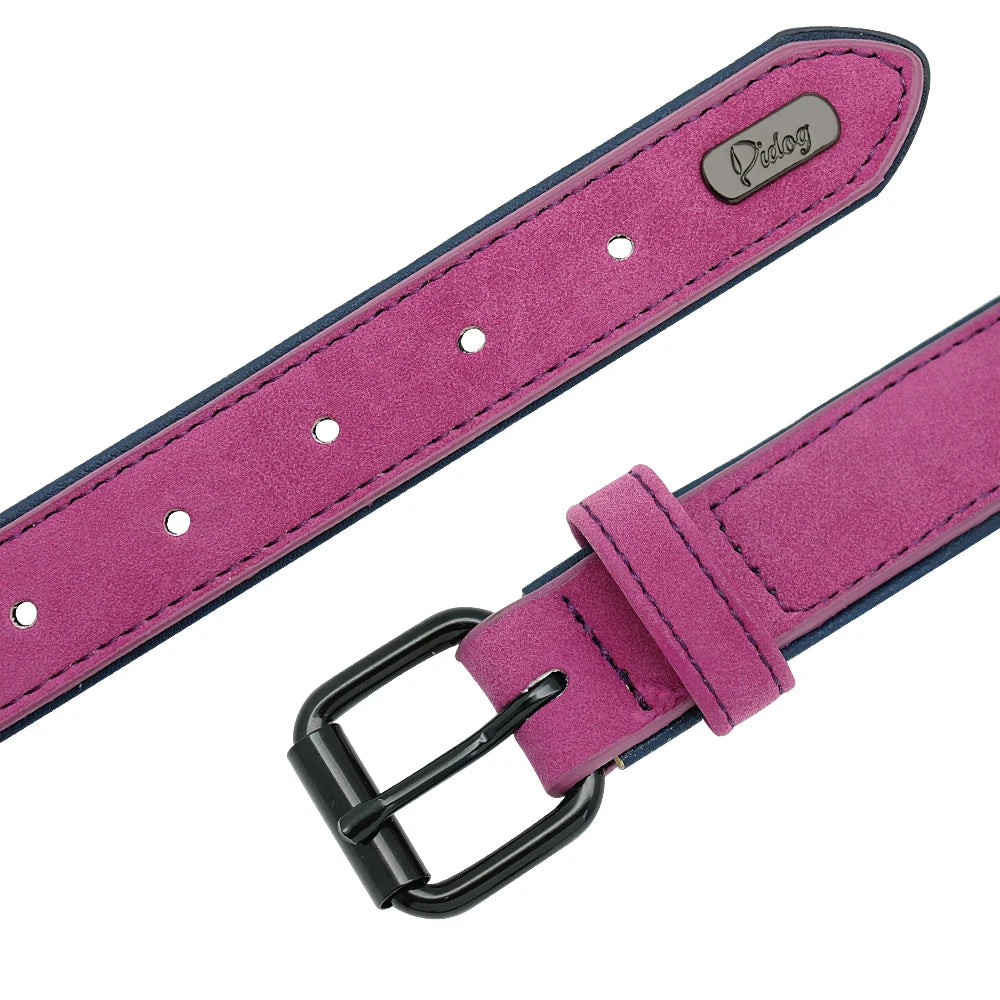 Collier en Cuir Rembourré pour Chien – Confort Premium –