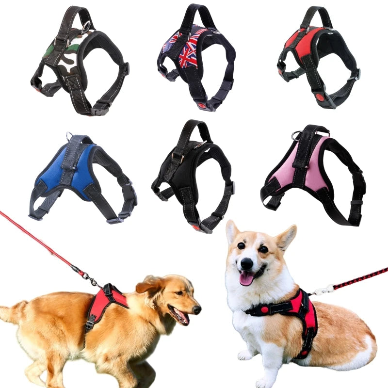 Harnais Veste Confort pour Chien